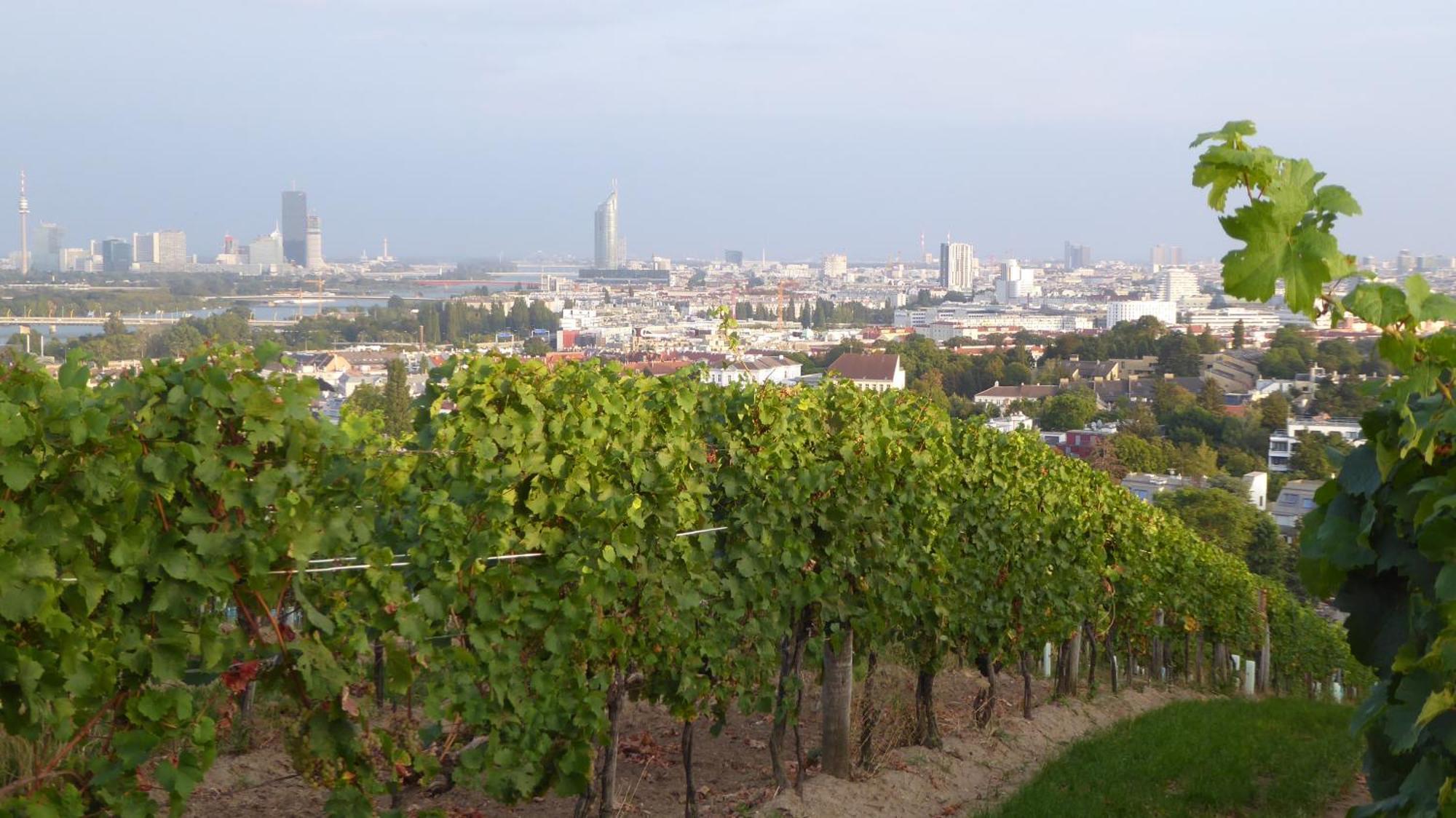 Apartament Wohnen Im Schoensten Viertel Wiens *